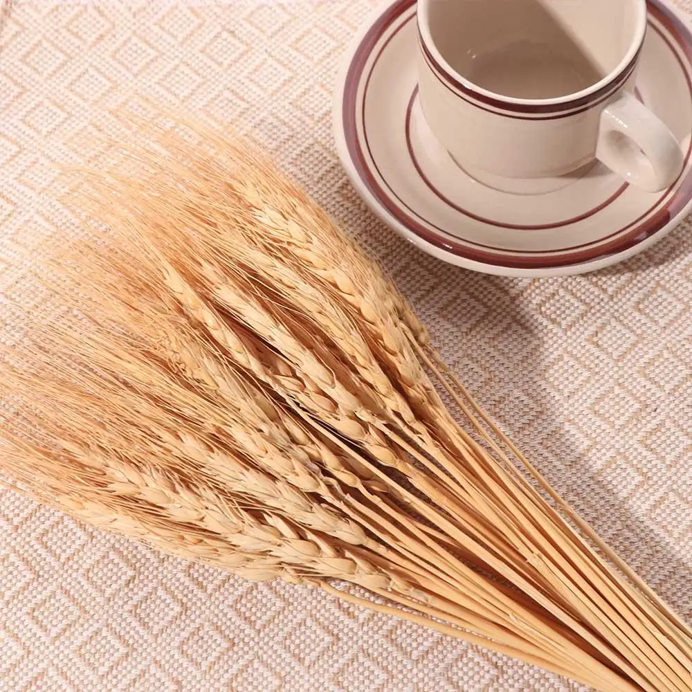 50pcs Bunga Buatan Batang Gand - Dried Flower Bulk ulasan dan harga