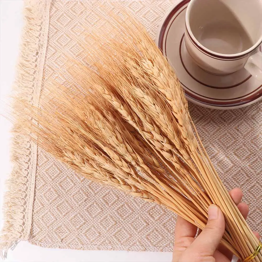 50pcs Bunga Buatan Batang Gand - Dried Flower Bulk ulasan dan harga