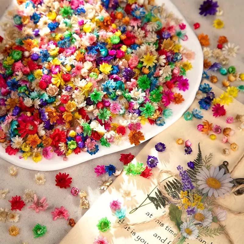 Bunga warna-warni campuran unt - Resin Craft Ideas ulasan dan harga